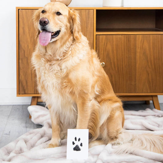 Mess Free Ink Pad (M/L)